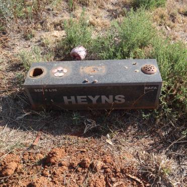 HEYNS
