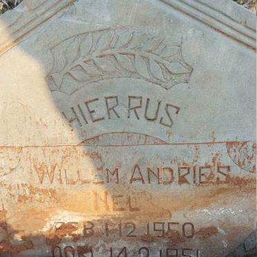 NEL Willem Andries 1950-1951
