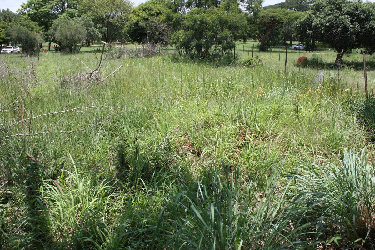 2. Overview