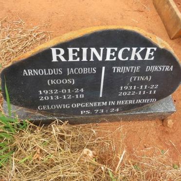 REINECKE Arnoldus Jacobus 1932-2013 & Trijntje Dijkstra 931-2022
