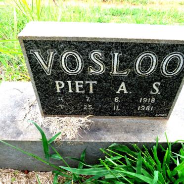VOSLOO Piet A.S. 1918-1981