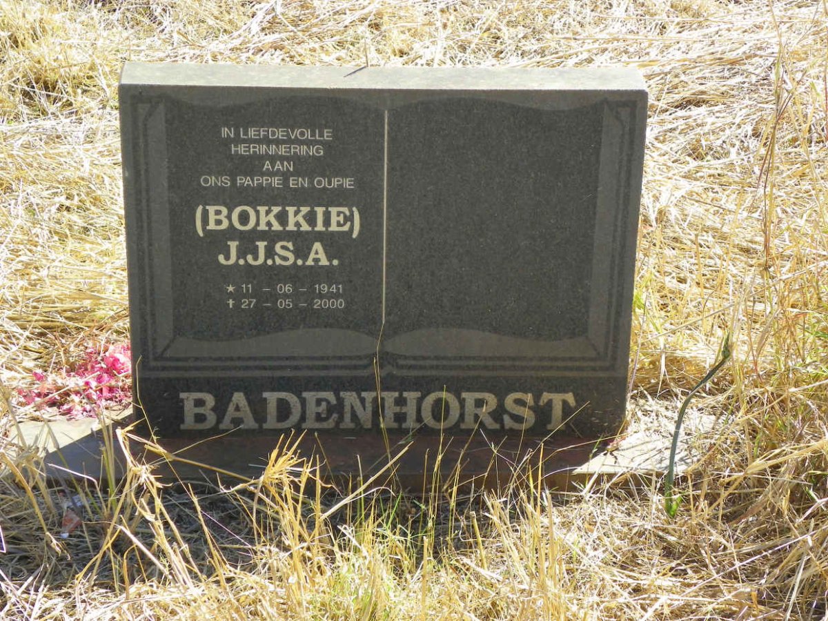 BADENHORST J.J.S.A. 1941-2000