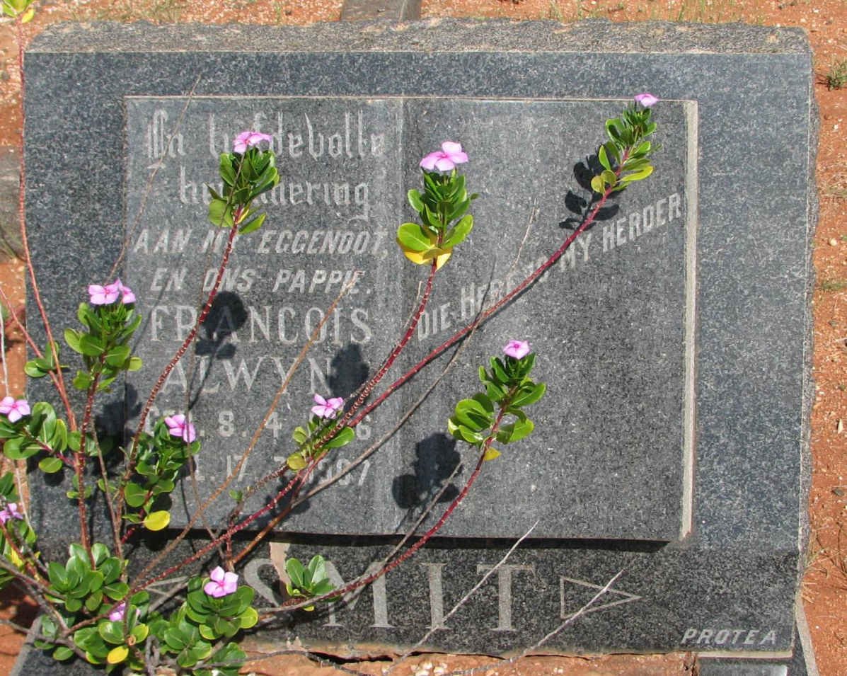 SMIT Francois Alwyn 1806-1967