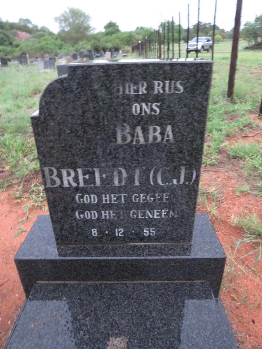 BREEDT C.J. 1955-1955