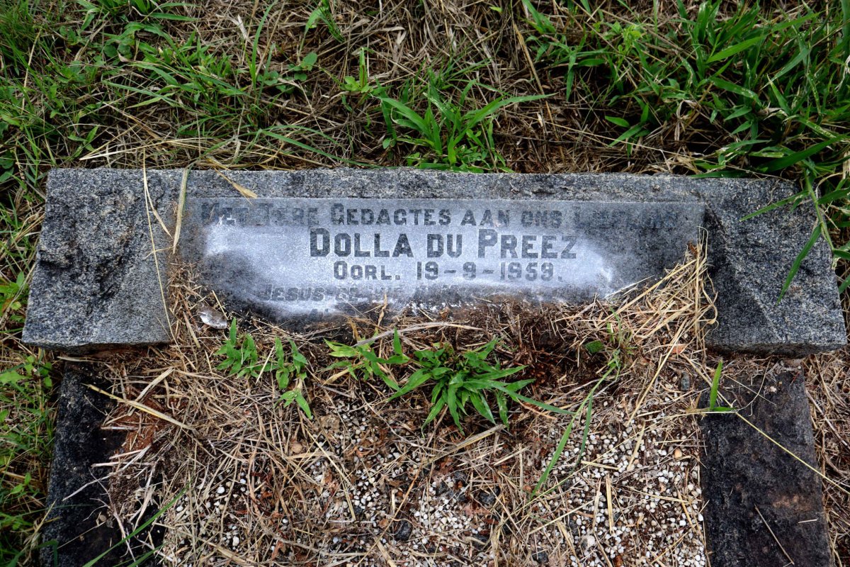 PREEZ Dolla, du -1959